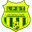 Home team logo