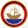 Home team logo