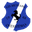 Home team logo