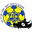 Away team logo