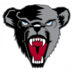 Maine Black Bears logo