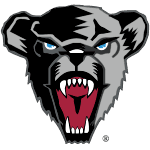 Maine Black Bears