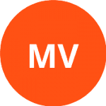 Manafov V / Tyurnev E logo
