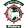 Home team logo