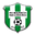 Home team logo