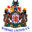 Home team logo