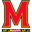 Home team logo