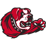 Maryville Saints logo