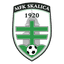 teamLogo
