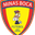 Home team logo