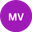 Home team logo