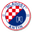 Home team logo