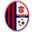 Home team logo