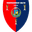 Home team logo