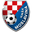 Home team logo