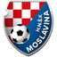 teamLogo