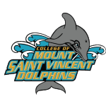 Mount St. Vincent Dolphins
