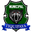 Home team logo