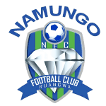 Namungo FC logo