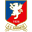 Home team logo