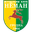 Home team logo
