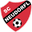 Home team logo