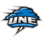 New England Noreasters logo
