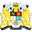 Home team logo