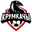 Home team logo