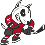Niagara Icedogs