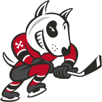 Niagara IceDogs