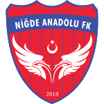 Niğde Anadolu FK logo