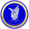 Away team logo