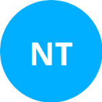 Nirundorn T. logo
