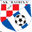Home team logo