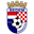 Home team logo