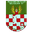 Home team logo