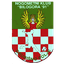 NK Bilogora 91 logo