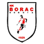 NK Borac Bobota logo