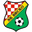 Home team logo