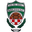 Home team logo
