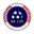 Home team logo