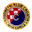 Home team logo