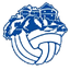 NK Desinić logo