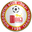 Home team logo