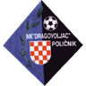 NK Dragovoljac Poličnik