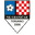 Home team logo