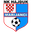 Home team logo