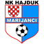 NK Hajduk Marijanci logo