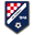 Home team logo